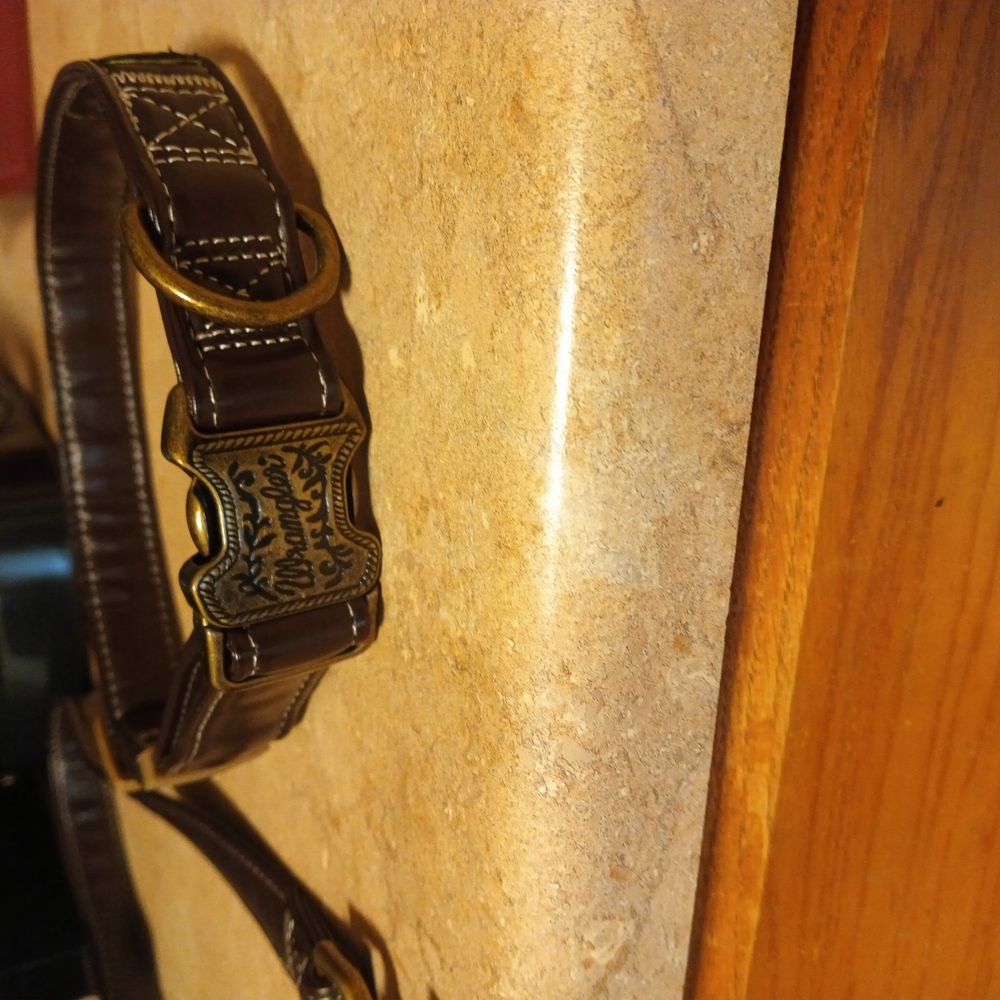 Wrangler Black Leather Dog Collar with Decorative Metal Buckles